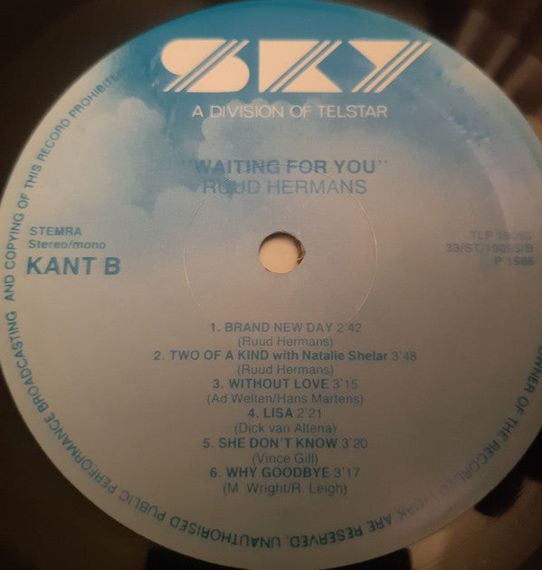 Ruud Hermans : Waiting For You (LP)