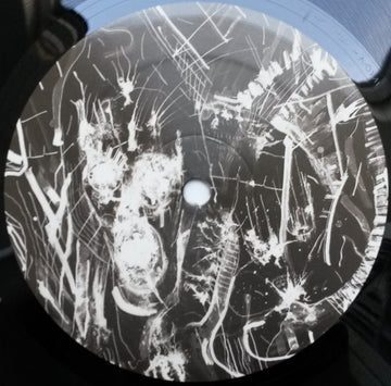Remco Beekwilder : 10th Planet EP (12", EP)