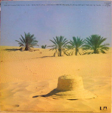 Poly Styrene : Translucence (LP, Album)