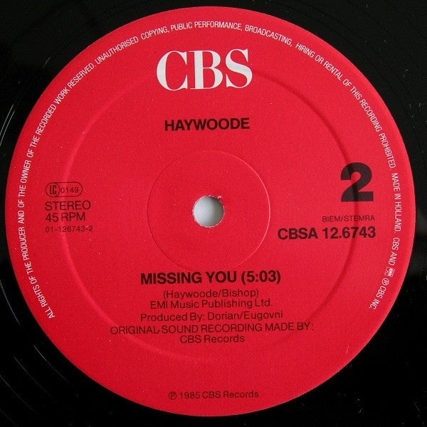 Haywoode : You'd Better Not Fool Around (Extended Version) (12", Maxi)