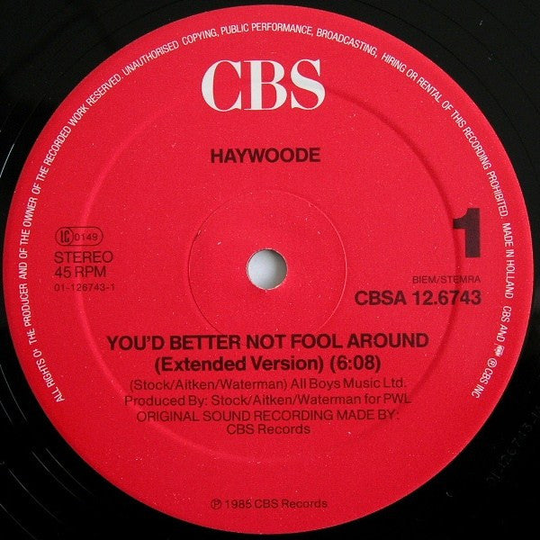Haywoode : You'd Better Not Fool Around (Extended Version) (12", Maxi)
