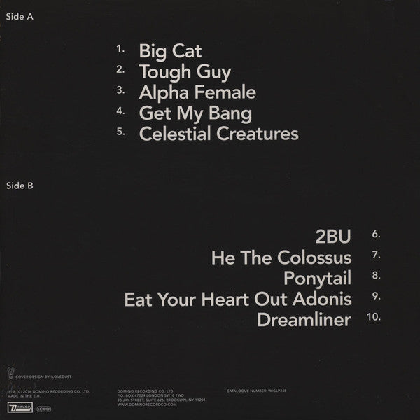 Wild Beasts : Boy King (LP, Album + 7" + Dlx)
