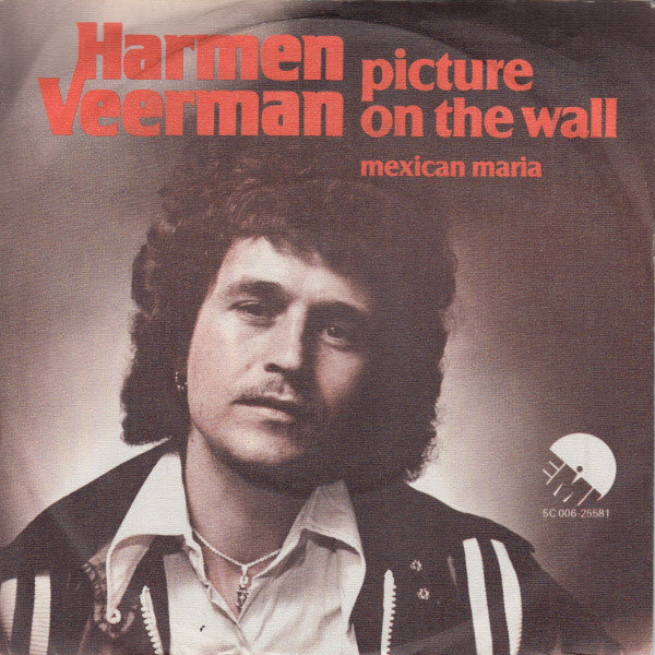 Harmen Veerman : Picture On The Wall (7", Single)