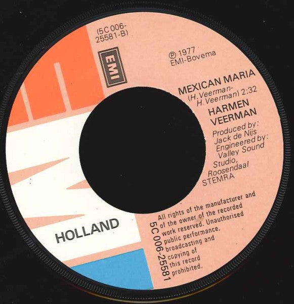 Harmen Veerman : Picture On The Wall (7", Single)
