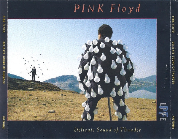 Pink Floyd : Delicate Sound Of Thunder (2xCD, Album, RE, EMI)