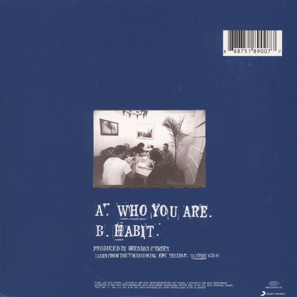 Pearl Jam : Who You Are (7", Single, RE)