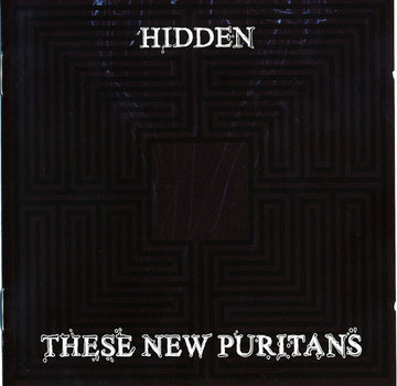 These New Puritans : Hidden (CD, Album)