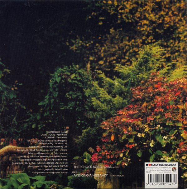 Black Box Recorder : The School Song (7", Single)
