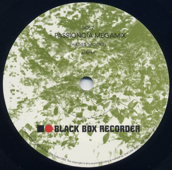 Black Box Recorder : The School Song (7", Single)