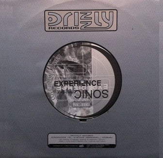 Sonic Experience (2) : Love Is The Power (12")