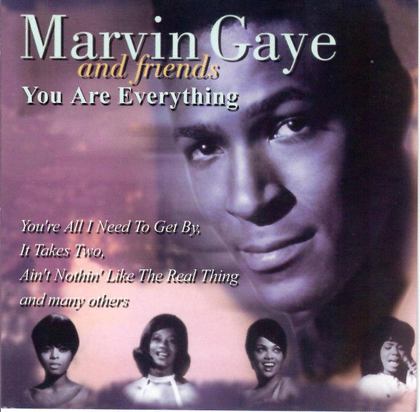 Marvin Gaye : You Are Everything (CD, Comp)