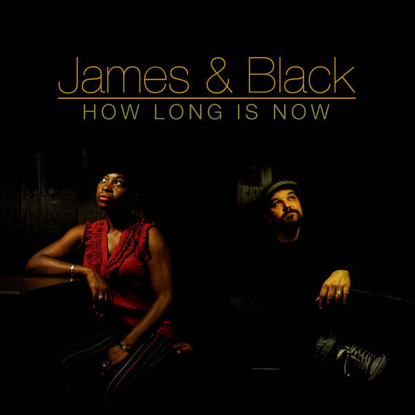 James & Black : How Long Is Now (CD, Album)