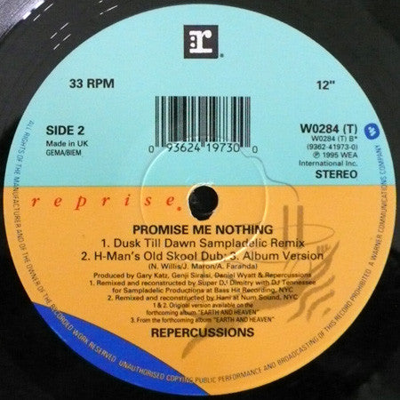 Repercussions : Promise Me Nothing (12")