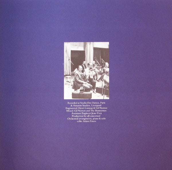 Echo & The Bunnymen : Ocean Rain (LP, Album)