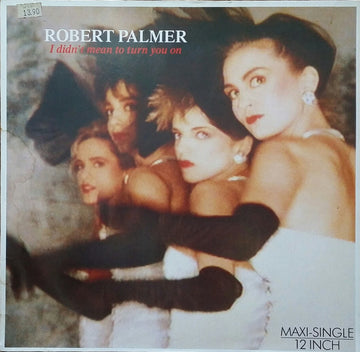 Robert Palmer : I Didn't Mean To Turn You On (12", Maxi)