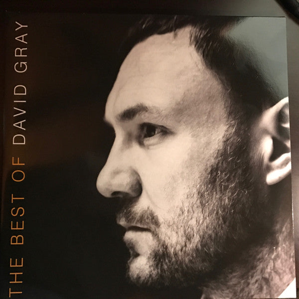 David Gray : The Best Of David Gray (2xLP, Album, Comp)