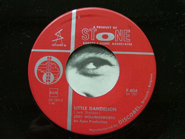 Joey Hollingsworth : That's Why I Love You Like I Do (7", Single)