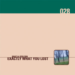 Seht & Howard Stelzer : Exactly What You Lost (CD, Album)
