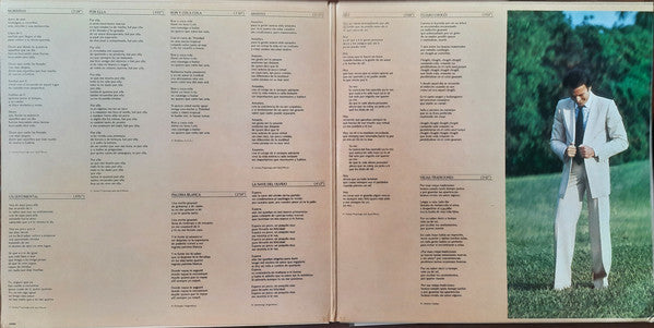 Julio Iglesias : Hey! (LP, Album, Gat)