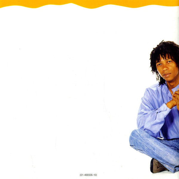 Djavan : Puzzle Of Hearts (CD, Album)