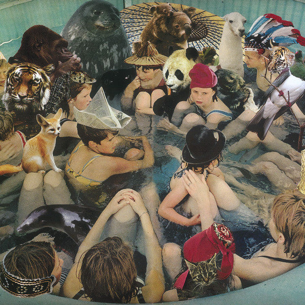 Panda Bear : Person Pitch (CD, Album)