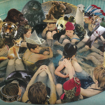 Panda Bear : Person Pitch (CD, Album)