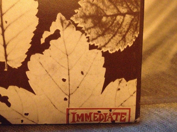 Small Faces : The Autumn Stone (2xLP, Comp, Gat)
