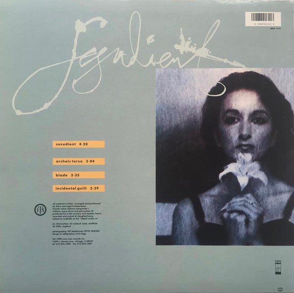 In The Nursery : Sesudient (12", EP)