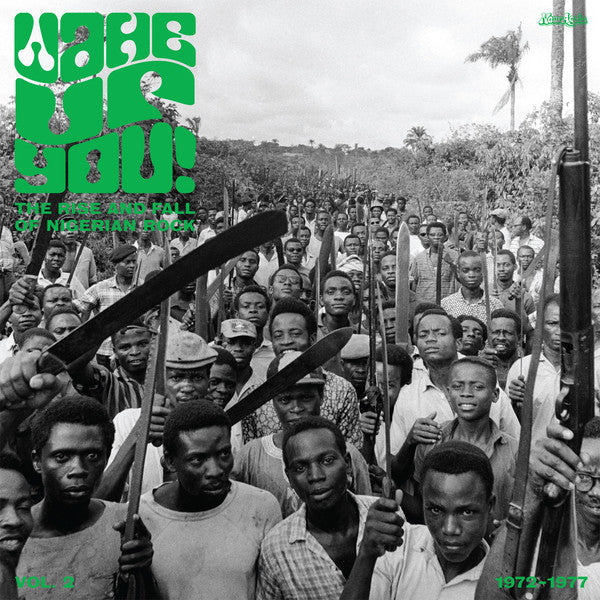 Various : Wake Up You! The Rise And Fall of Nigerian Rock 1972-1977 Vol. 2 (2xLP, Comp)