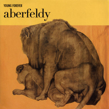 Aberfeldy : Young Forever (CD, Album, Promo)