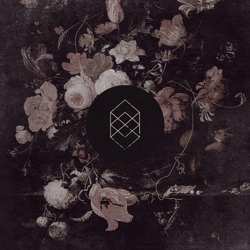 Kokomo (4) : Monochrome Noise Love (LP, Cre + LP, Bro + Album, Ltd, RE, RP)