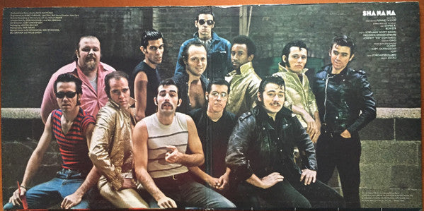 Sha Na Na : The Golden Age Of Rock 'N' Roll (2xLP, Album)