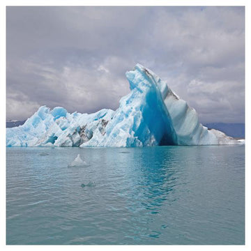 Surfer Blood : Snowdonia (LP, Album, Whi)