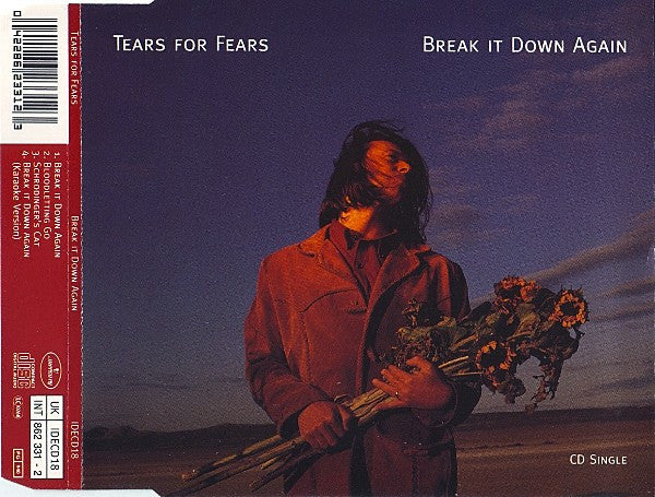 Tears For Fears : Break It Down Again (CD, Single)