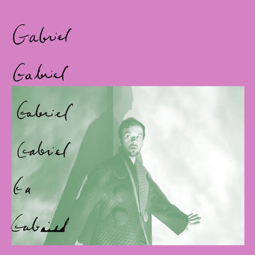 Gabe Schray : Gabriel (LP, Album)