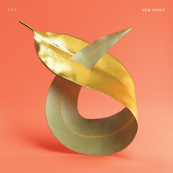PVT : New Spirit (CD, Album)