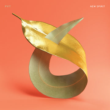 PVT : New Spirit (CD, Album)