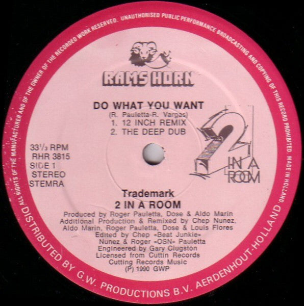 2 In A Room : The 12 Inch Remixes : Do What You Want / Take Me Away (12")