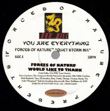 Dru Hill : You Are Everything (12", M/Print)